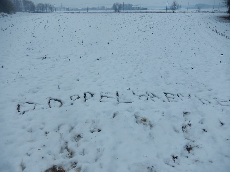 DOPPELGAENGER ( drawing on the snow ) Lomazzo 2019